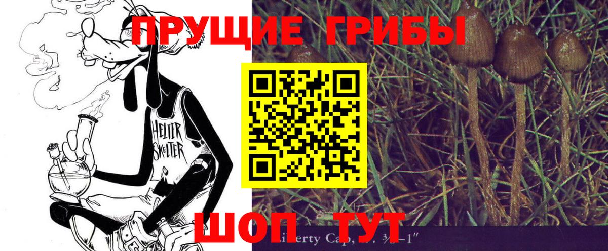 Галлюциногенные грибы прущие грибы Фрязино